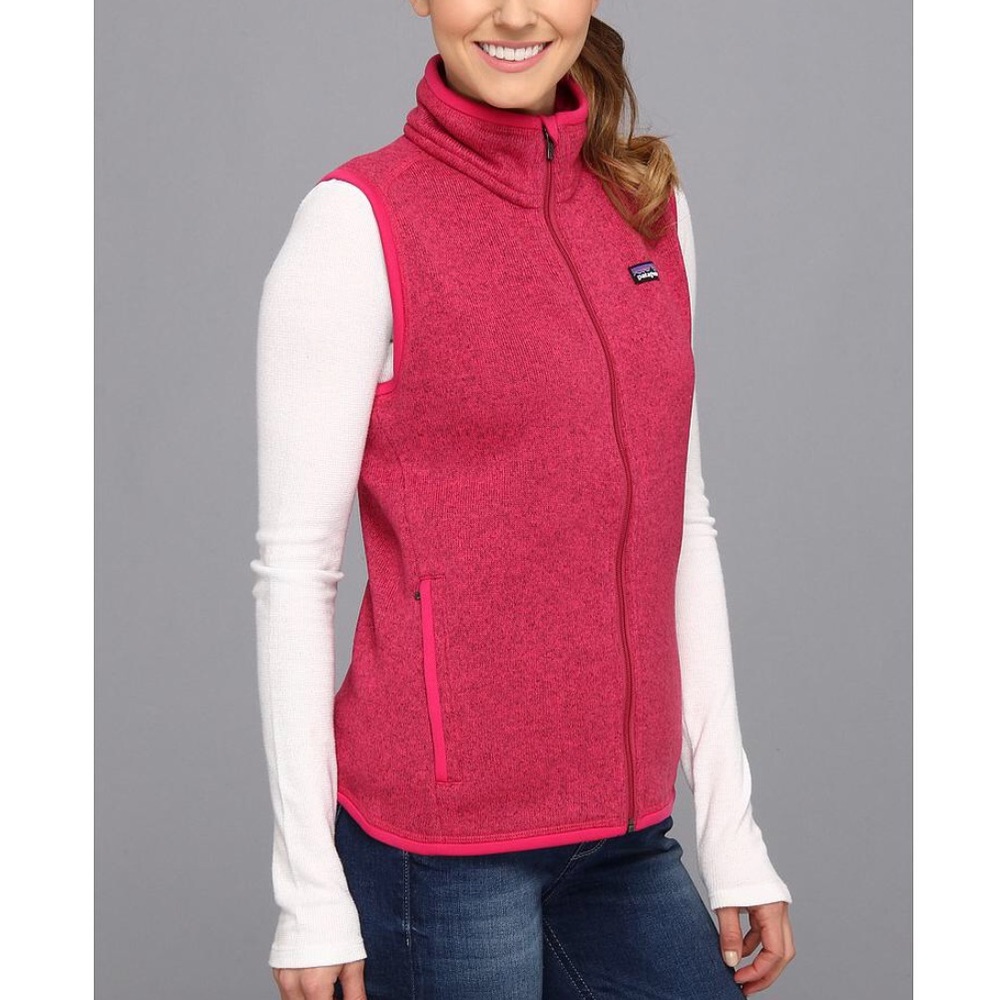 NWOt Patagonia better sweater vest